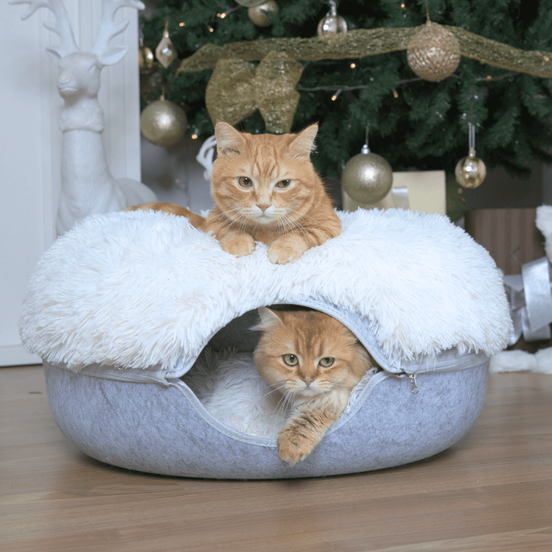 Cattasaurus™ Peekaboo Cave