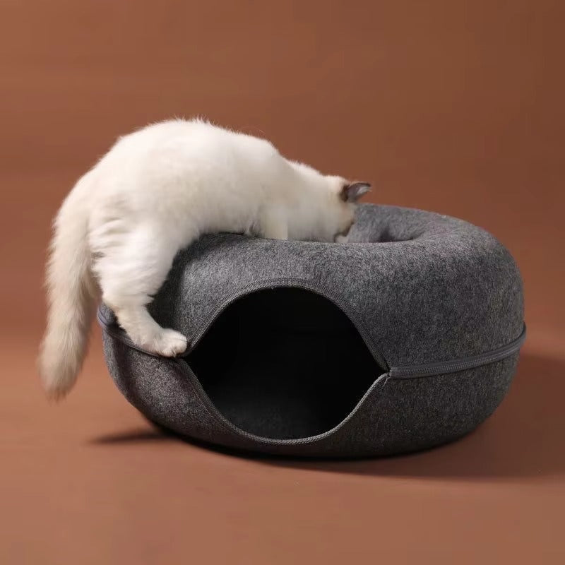 Cattasaurus™ Peekaboo Cave