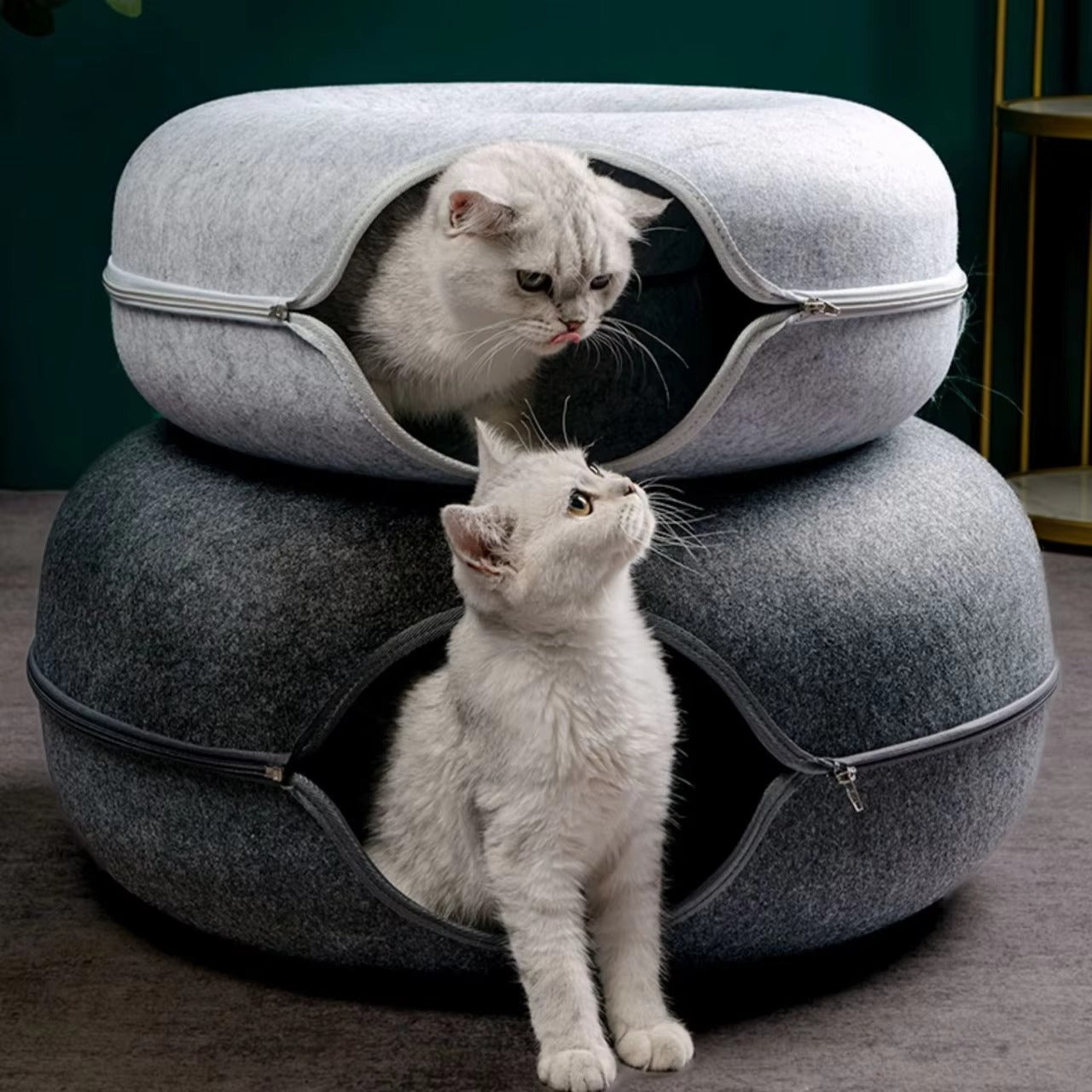 Cattasaurus™ Peekaboo Cave